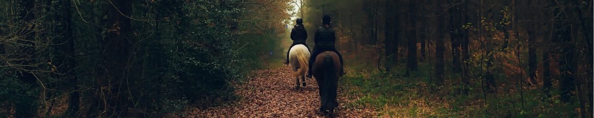 horses-1885133_1920.jpg